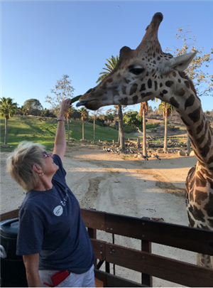 giraffe and mrs t 